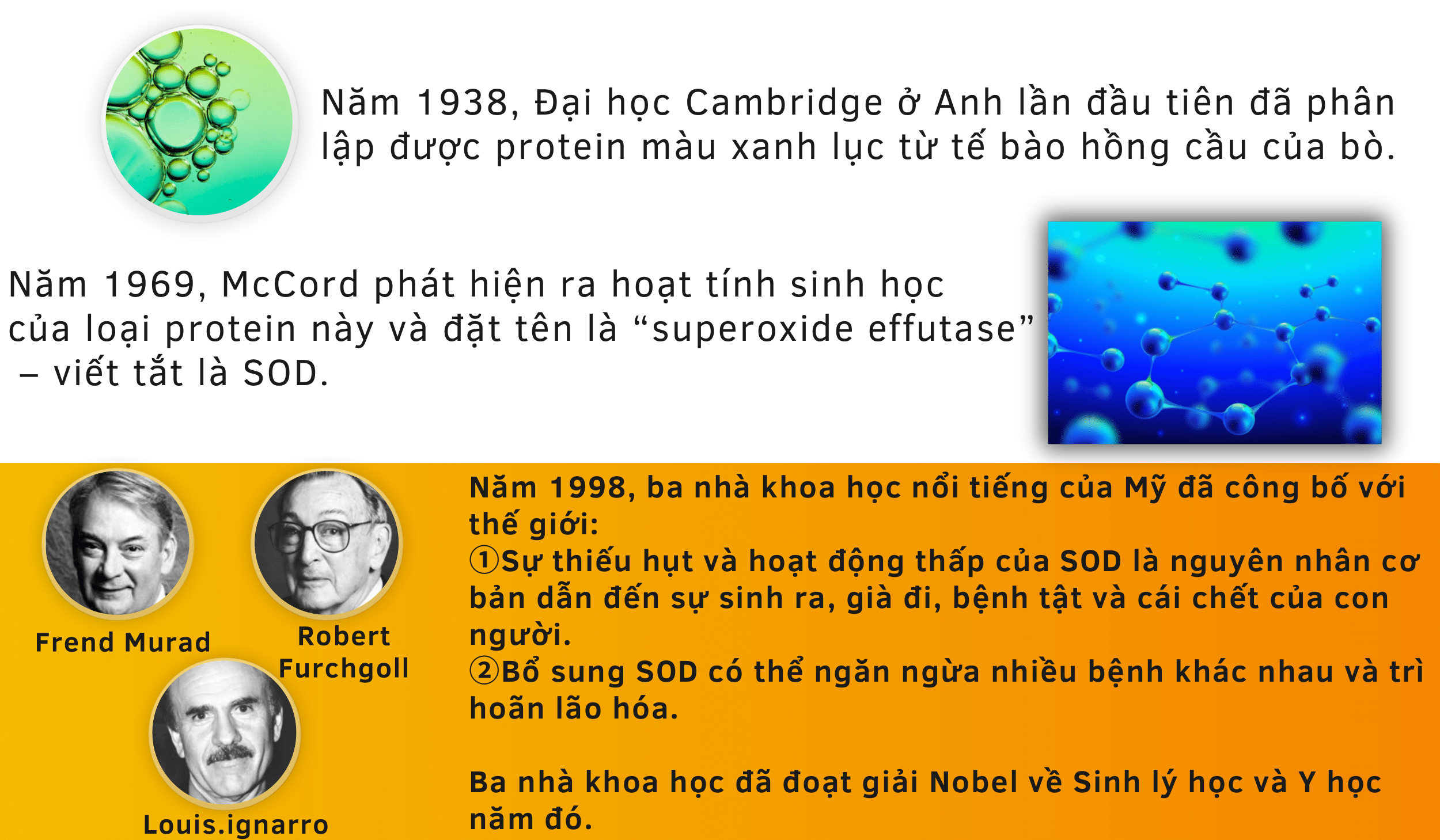 slideshow