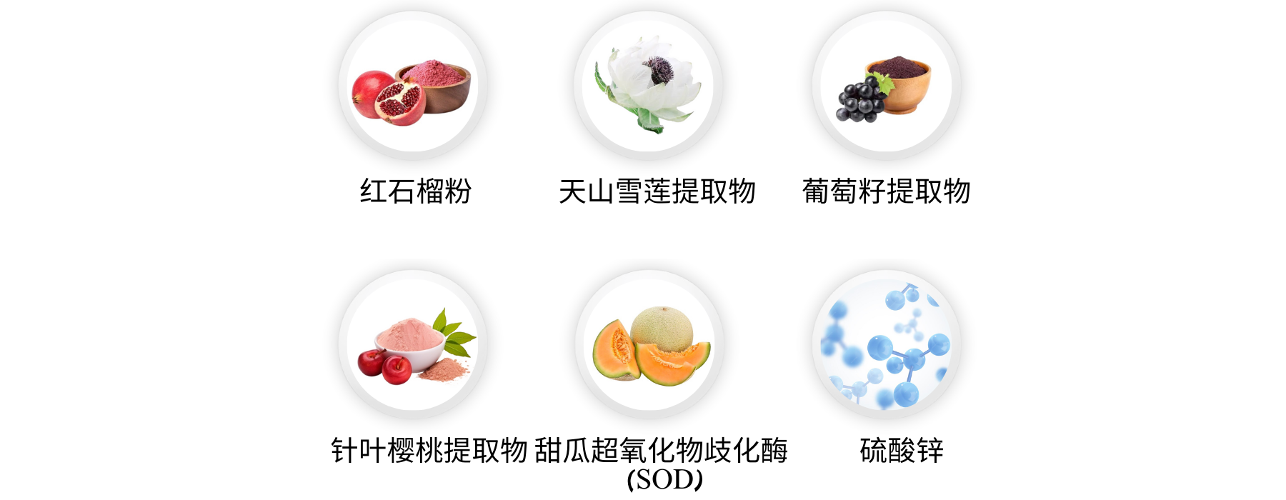 Product Introduction 1