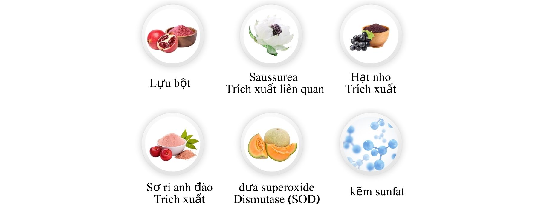 Product Introduction 1