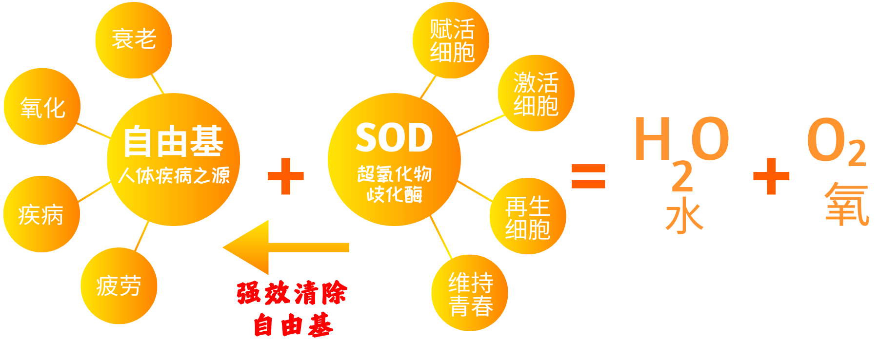 Product Introduction 2