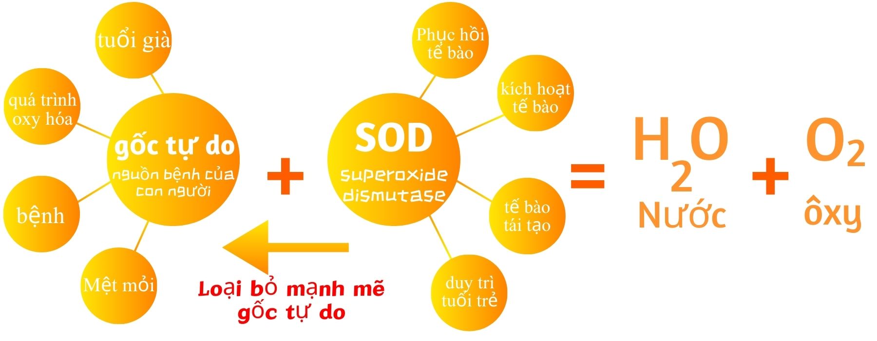 Product Introduction 2